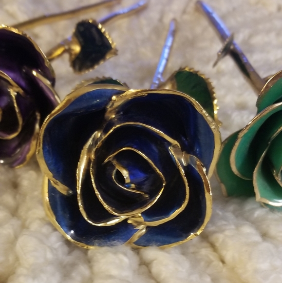 Gold Dipped Roses - Picture 5 of 7